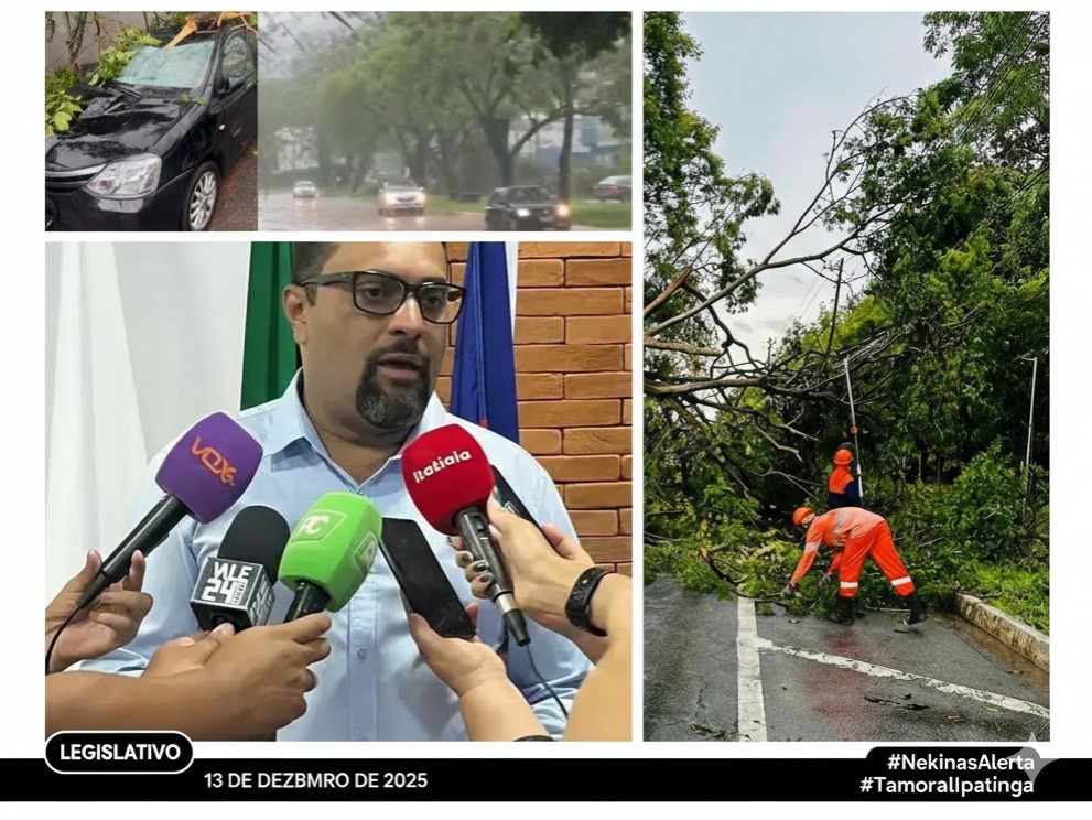 LEGISLATIVO COBRA AÇÕES IMEDIATAS E REFORÇA FISCALIZAÇÃO APÓS TEMPORAL EM IPATINGA