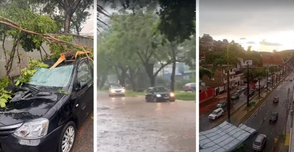 TEMPORAL EM IPATINGA: Chuva e Vento Causam Queda de Árvores, Destelhamentos e Interdições