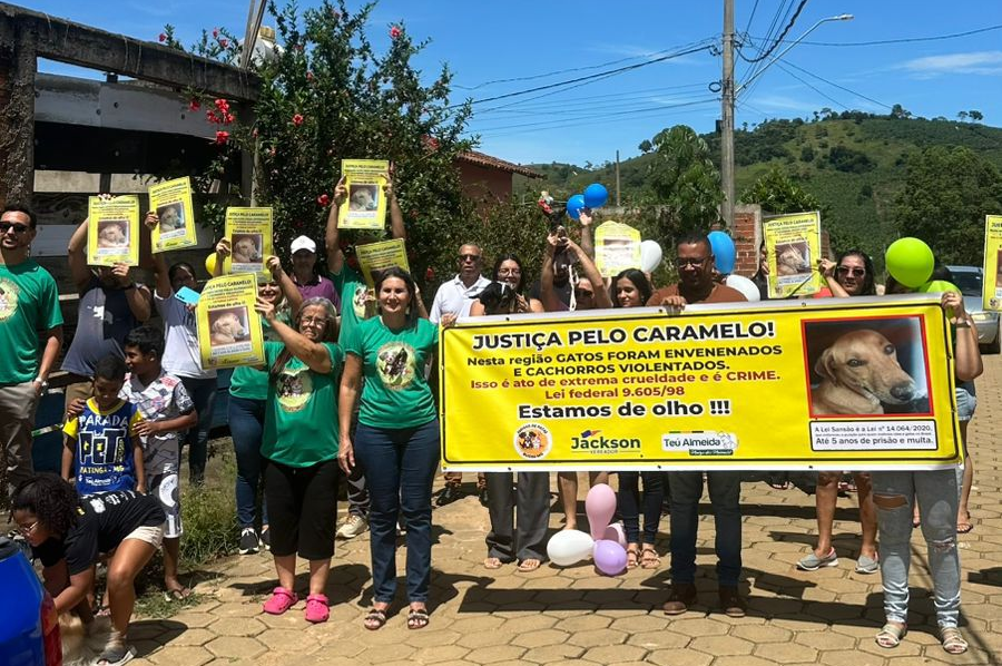 Crueldade em Bugre: Morte de cão comunitário gera revolta e carreata por justiça