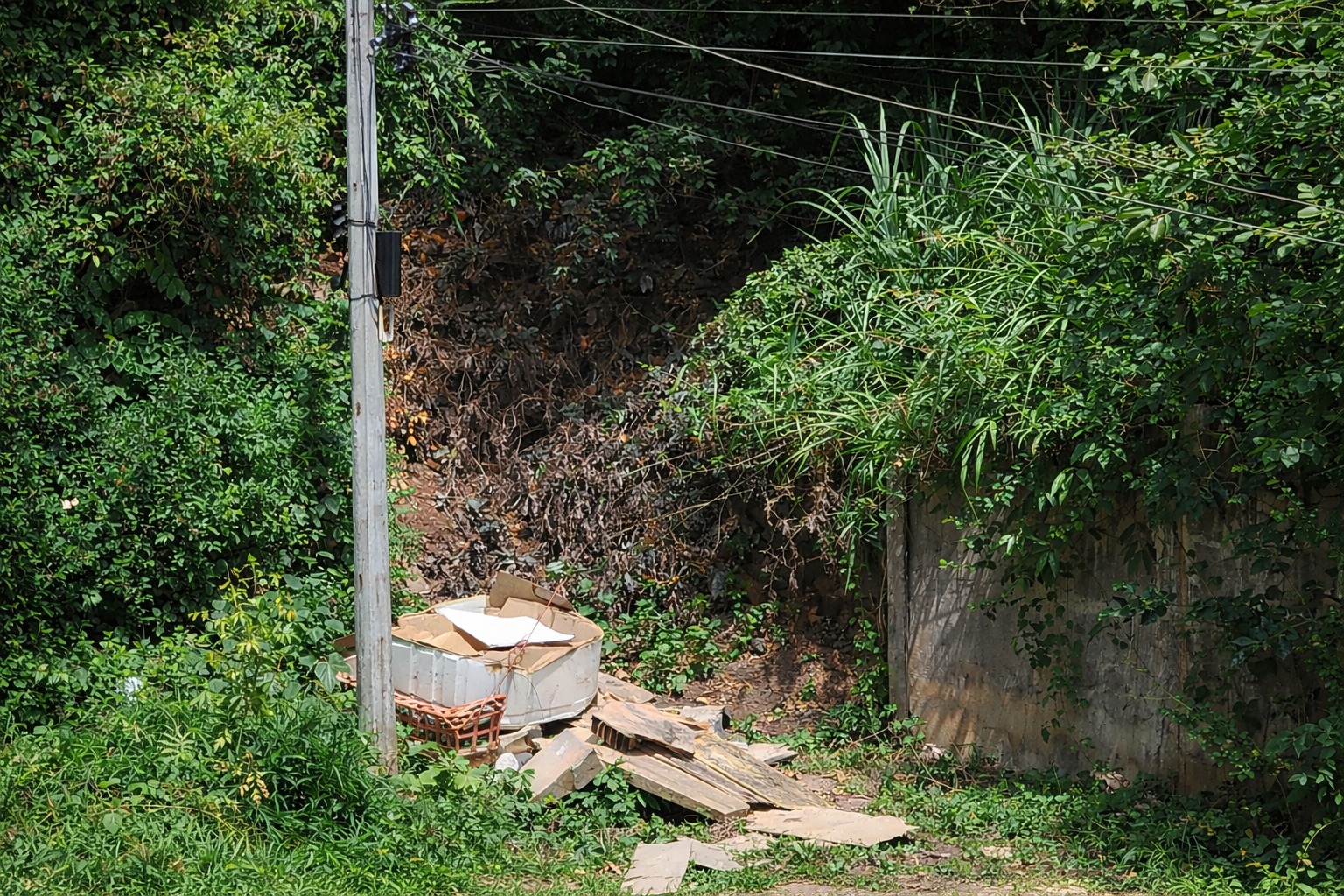 ABANDONO NO BETHÂNIA: 463 DIAS APÓS O DESASTRE DE 12 DE JANEIRO DE 2025